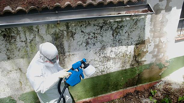 Top rated local Crawl Space Mold Remediation specialists in Wilson, PA